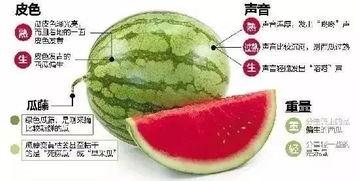 微信吃瓜墙,网络舆论场上的“瓜田”盛景  第2张