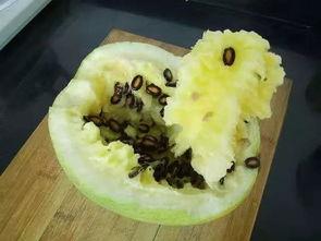 籽瓜的瓜肉怎么吃,探索美味与营养的完美融合