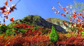 太原崛围山吃瓜,太原崛围山夏日吃瓜避暑之旅