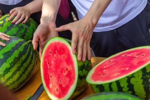 长春大学吃瓜事件,校园舆论风波背后的真相探究