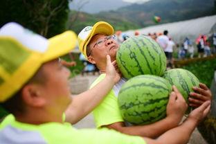秀雅现场吃瓜,揭秘娱乐圈幕后真相