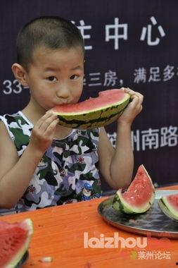 吃瓜紫金,揭秘娱乐圈的幕后故事