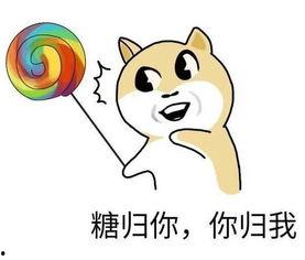 吃瓜不吃糖呐,探寻健康生活的秘密法则