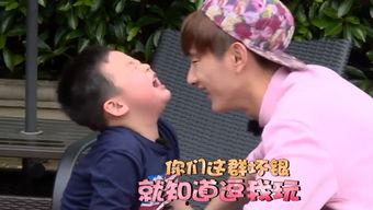 趴着吃瓜趴着看戏,趴着吃瓜，趴着看戏，尽享悠闲时光