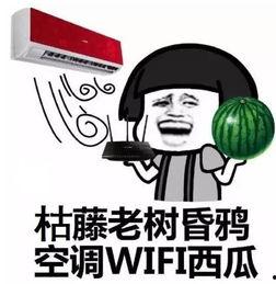 直男吃瓜大家都懂,揭秘男性社交圈中的趣味现象