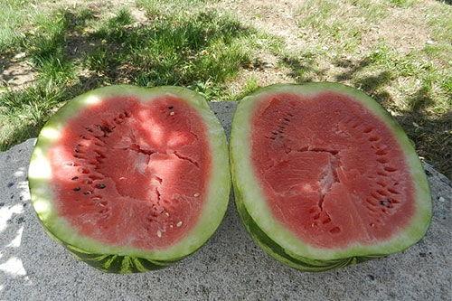 梦见多人吃瓜,多人共享瓜果的神秘寓意解析