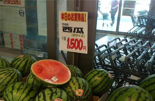 吃瓜广东在线,揭秘粤菜背后的故事与魅力