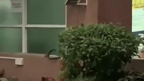 吉林最新吃瓜新闻事件,揭秘XX事件背后真相