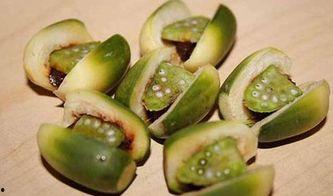 吃哈密瓜把嘴吃烂了,嘴吃烂了的经验教训