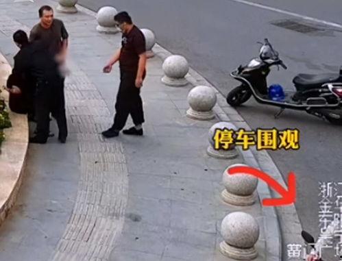 吃瓜被抓枪毙,悲剧收场引深思