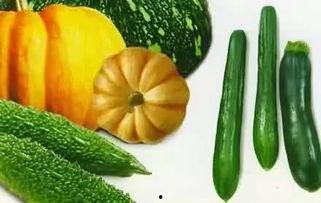 老贺在线吃瓜,揭秘娱乐圈幕后故事