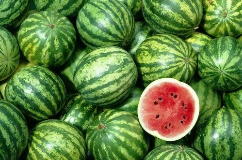 吃西瓜拉瓜zi,瓜籽飘香，回味无穷