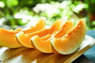 吃蜜瓜的小熊,小熊的蜜瓜探险记