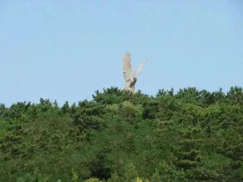 林海公园吃瓜事件,一场引发热议的公共道德风波