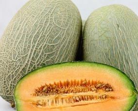 吃哈密瓜了,哈密瓜的甜蜜诱惑