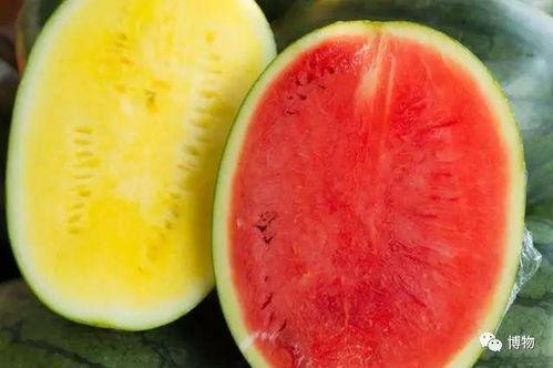 巅峰赛高端局吃瓜