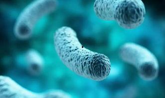 天王星怎么吃瓜,揭秘宇宙中的美食奥秘  第3张