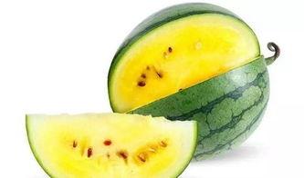 西瓜jun吃瓜视频,揭秘娱乐圈幕后故事 第2张 西瓜jun吃瓜视频,揭秘娱乐圈幕后故事 第2张