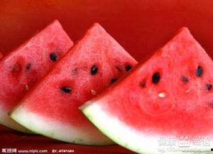 吃胖不吃瓜,揭秘健康饮食新风尚 第2张 吃胖不吃瓜,揭秘健康饮食新风尚 第2张