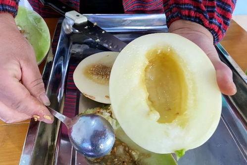 绿瓜吃皮,探索绿色美食的全新吃法 第3张 绿瓜吃皮,探索绿色美食的全新吃法 第3张