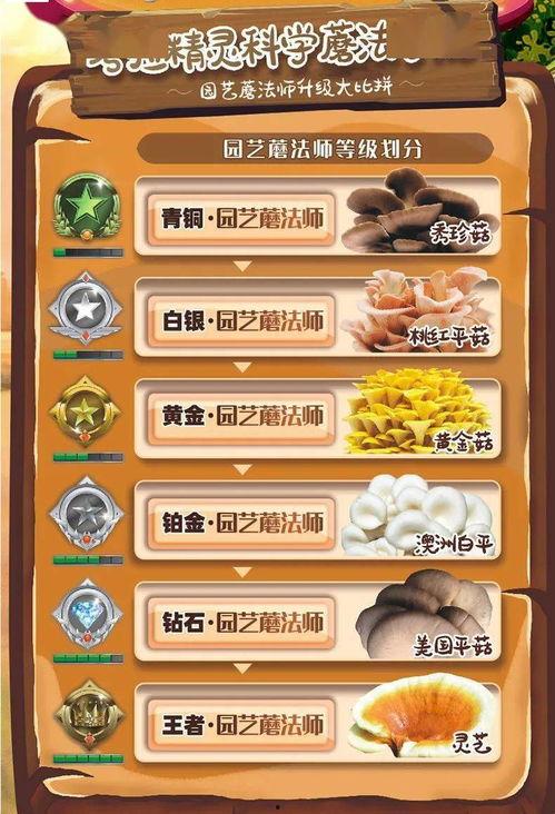 带你吃瓜之盲盒,趣味与惊喜并存的新潮流  第3张