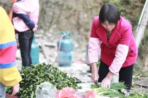 带你吃瓜开幕,揭开娱乐圈幕后故事，揭秘明星真实生活