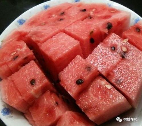 羊可以吃洋瓜吗,探究羊的饮食与健康  第3张