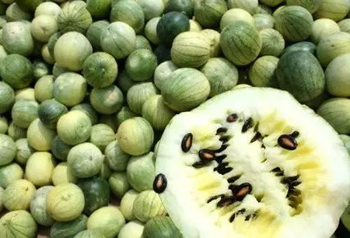 精神分裂吃籽瓜有好处吗,探寻食疗新途径  第3张