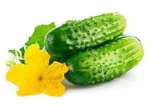 减肥可以吃螺纹瓜 第2张 减肥可以吃螺纹瓜 第2张