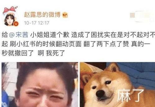 无聊的吃瓜小号,网络世界的趣味观察者  第3张