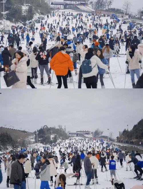 滑雪圈吃瓜,揭秘吃瓜群众的狂欢盛宴 第2张 滑雪圈吃瓜,揭秘吃瓜群众的狂欢盛宴 第2张