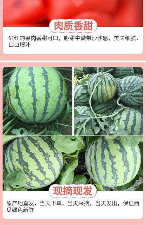 吃瓜新鲜应季水果,吃瓜新鲜，尽享应季水果美味