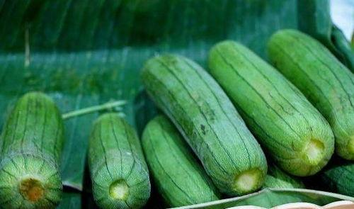 女人每天吃三瓜