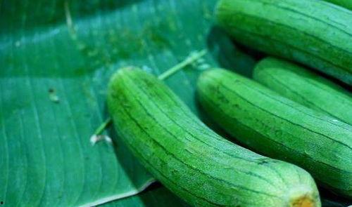 女人每天吃三瓜  第2张