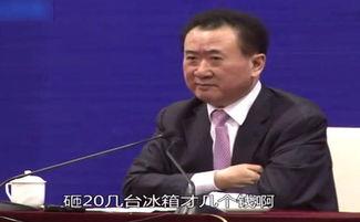 吃瓜群众王健林,吃瓜群众的财富传奇  第2张